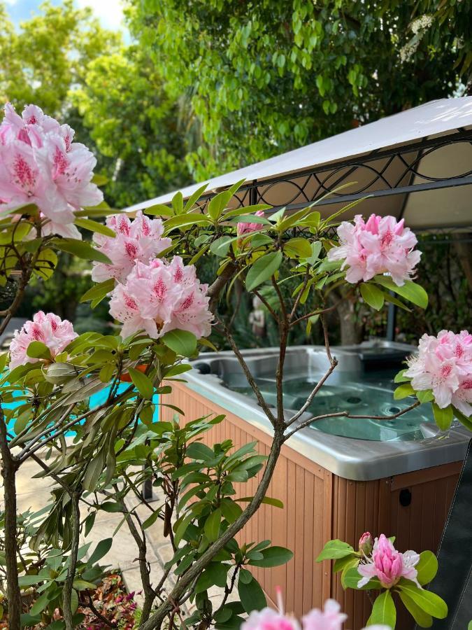 普拉德Domaine De La Tannerie Les Coulisses公寓 外观 照片